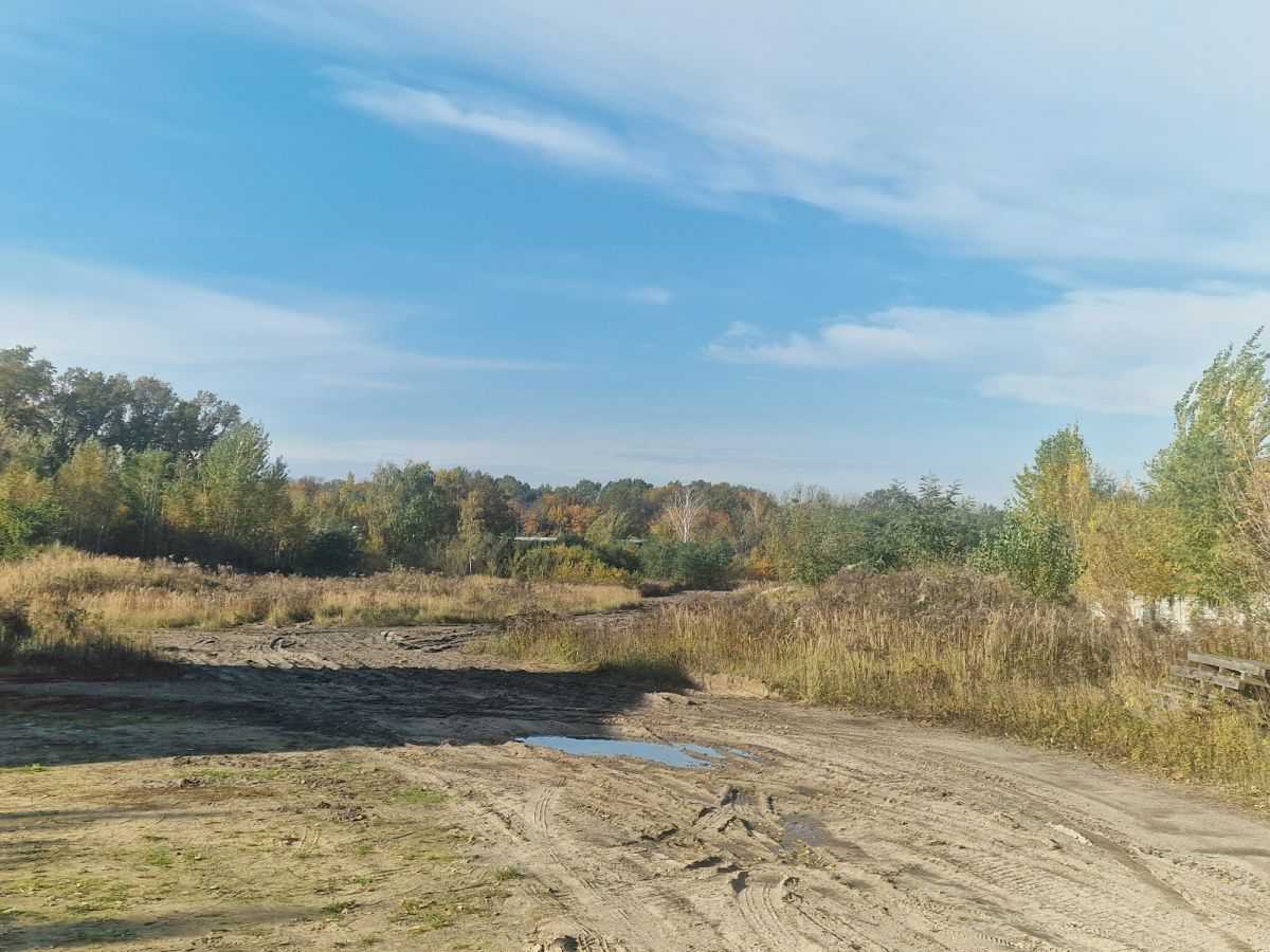Zdjęcie 38