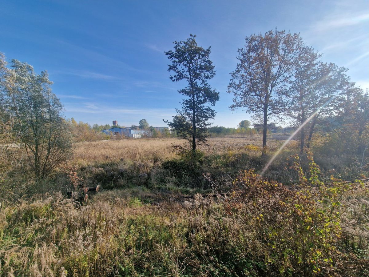 Zdjęcie 39