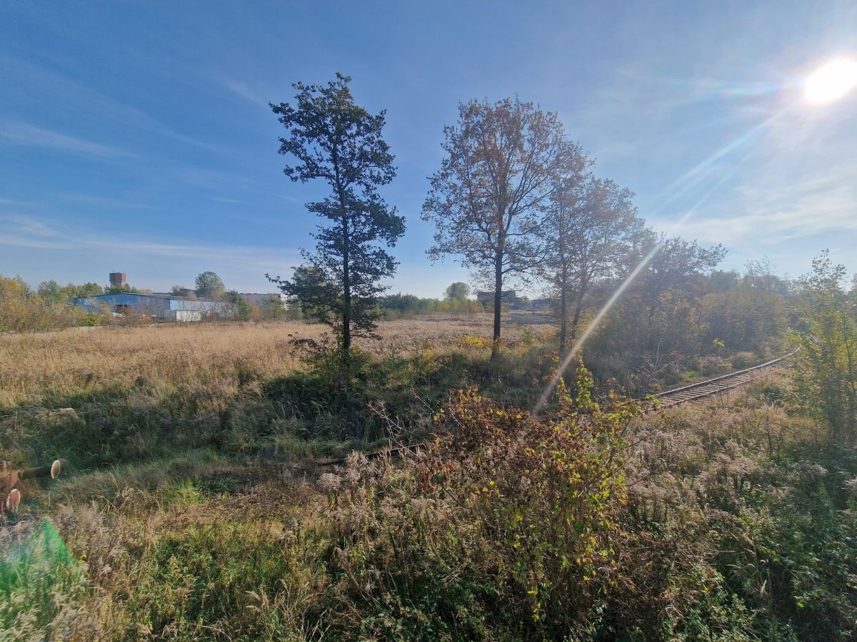 Zdjęcie 40