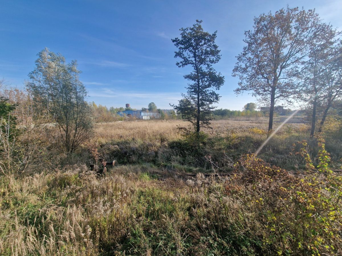 Zdjęcie 41