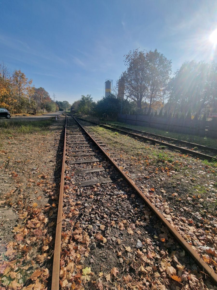 Zdjęcie 43
