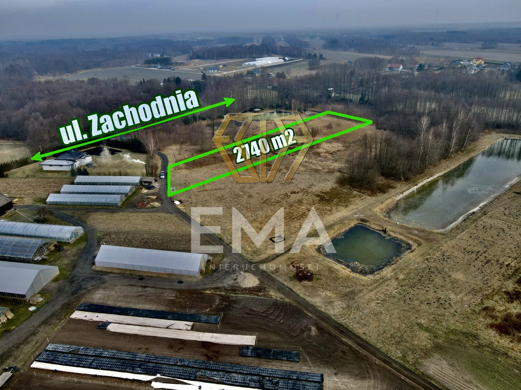 Zdjęcie 4
