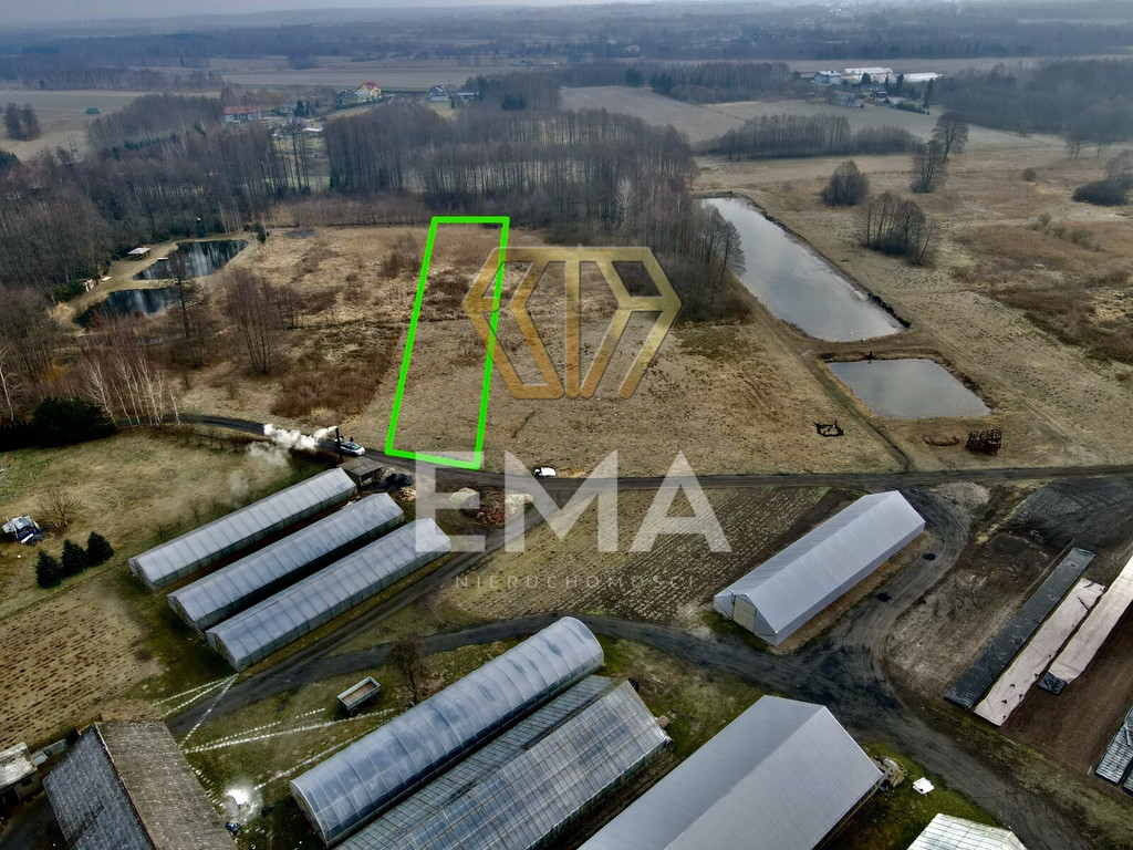 Zdjęcie 6