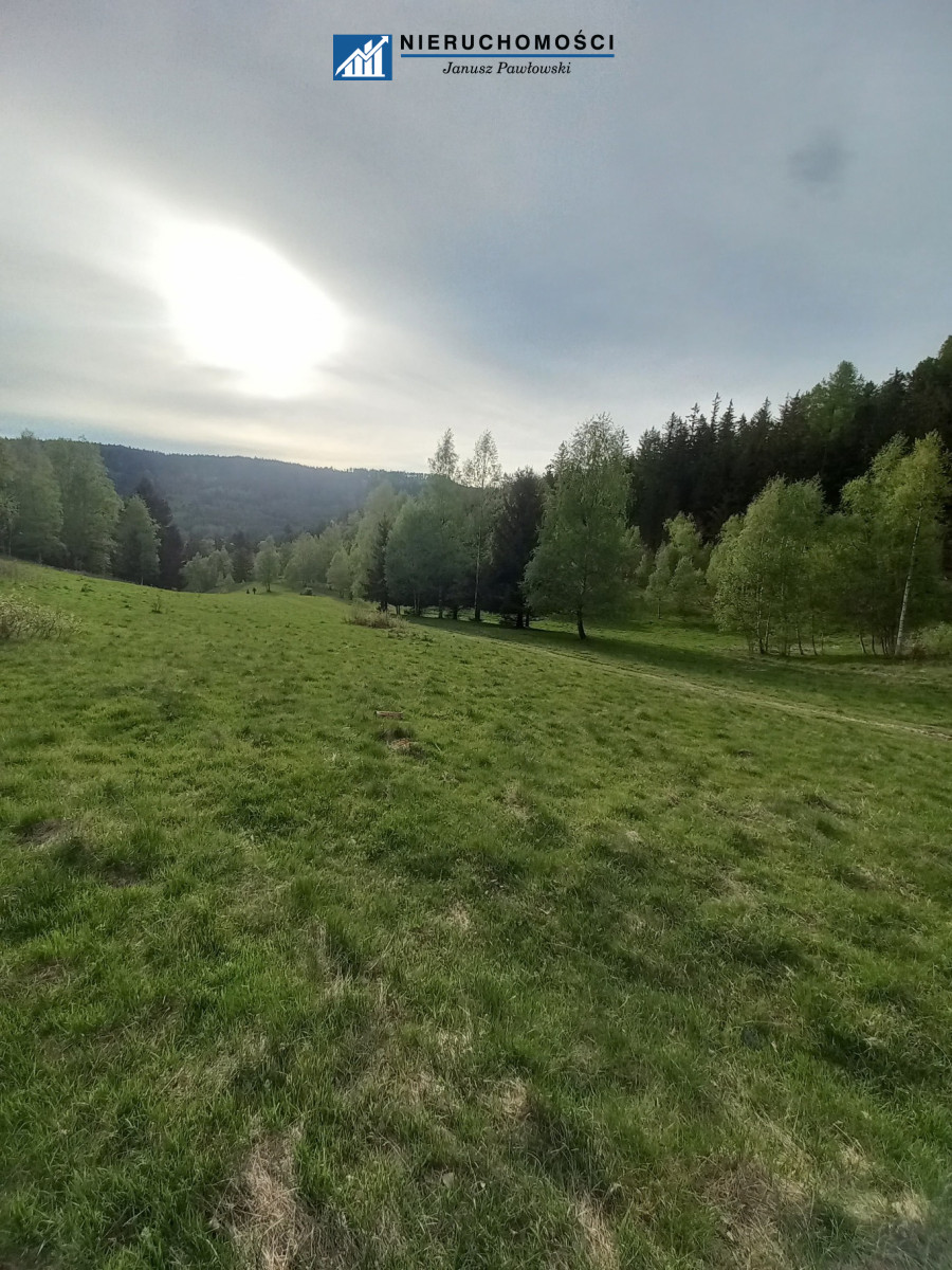 Zdjęcie 15