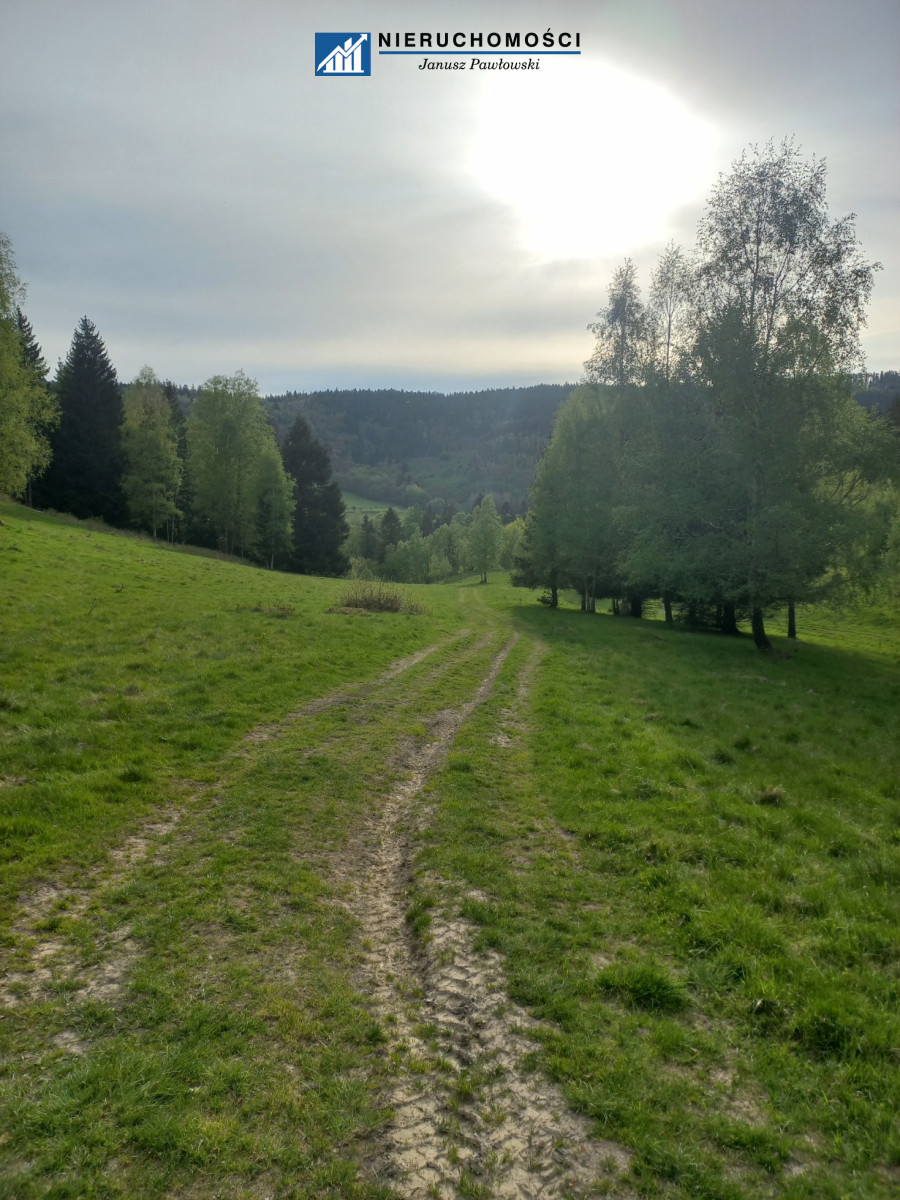 Zdjęcie 16