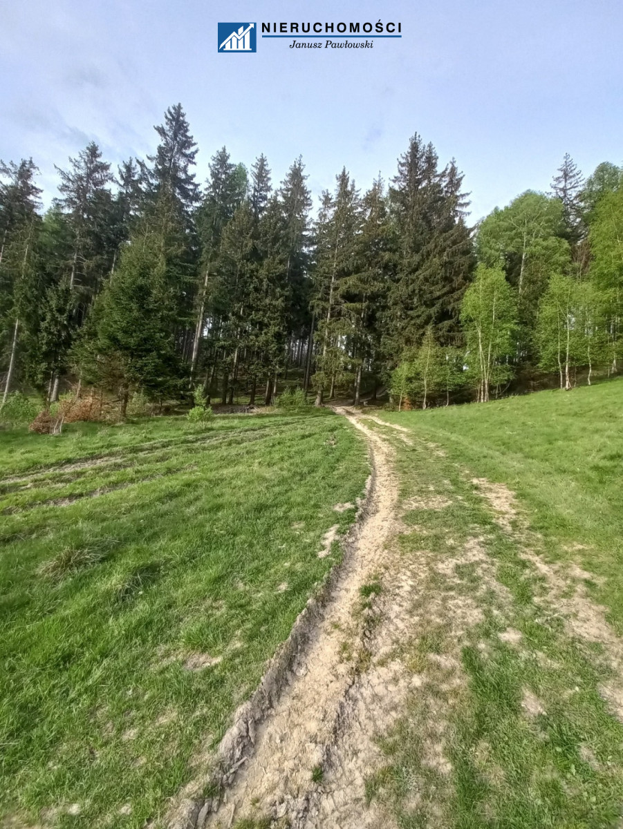 Zdjęcie 17