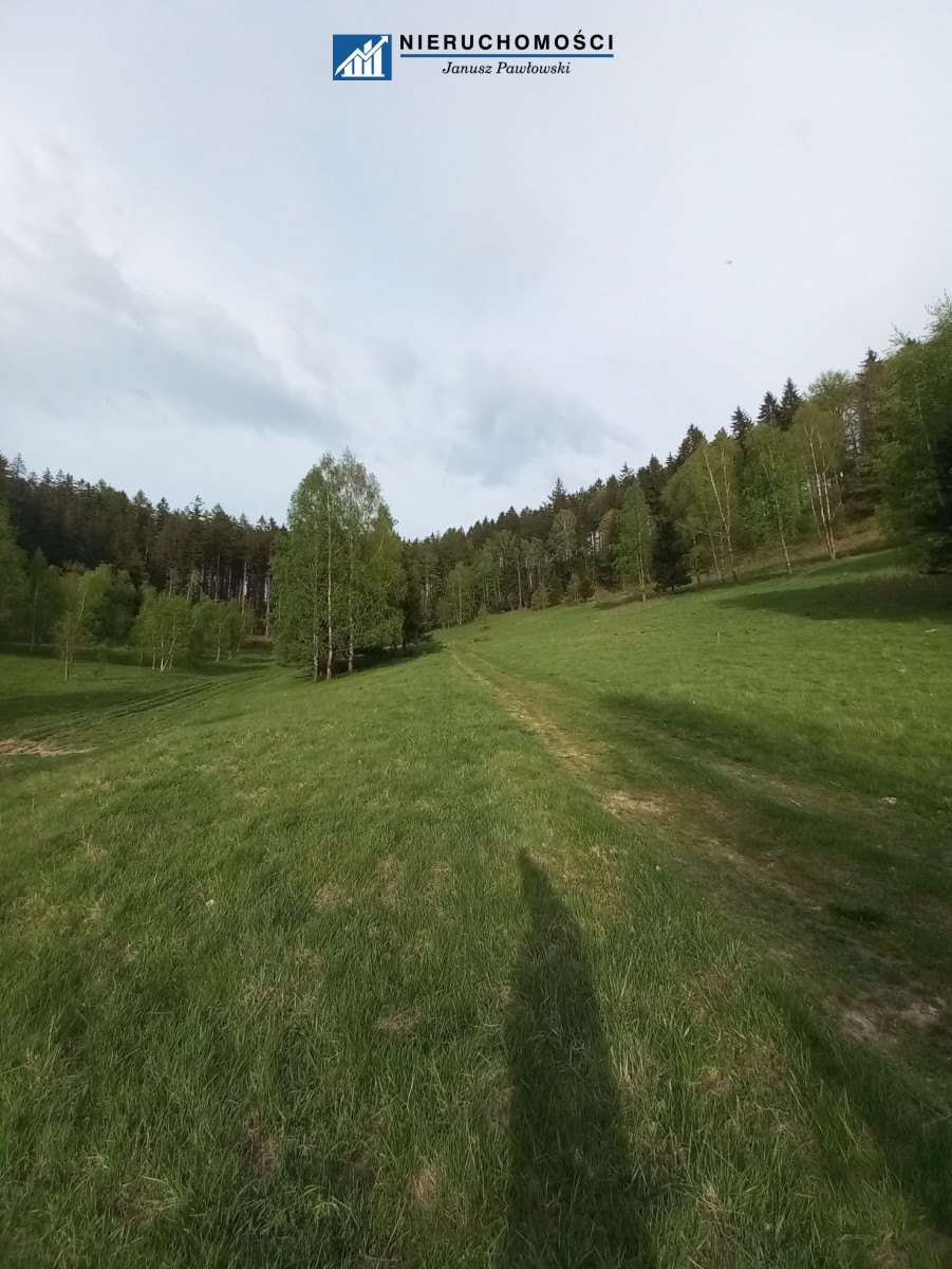 Zdjęcie 18