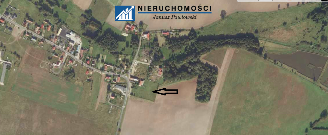 Zdjęcie 6