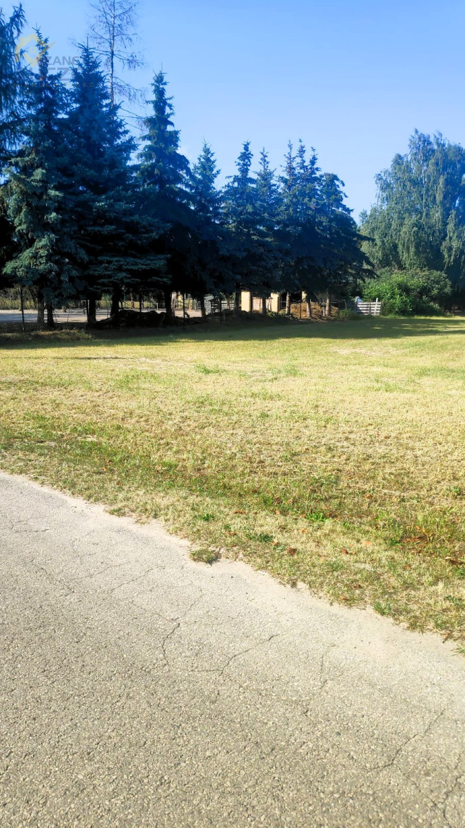 Zdjęcie 5