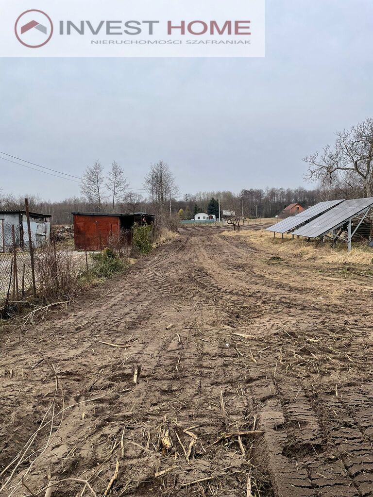 Zdjęcie 3