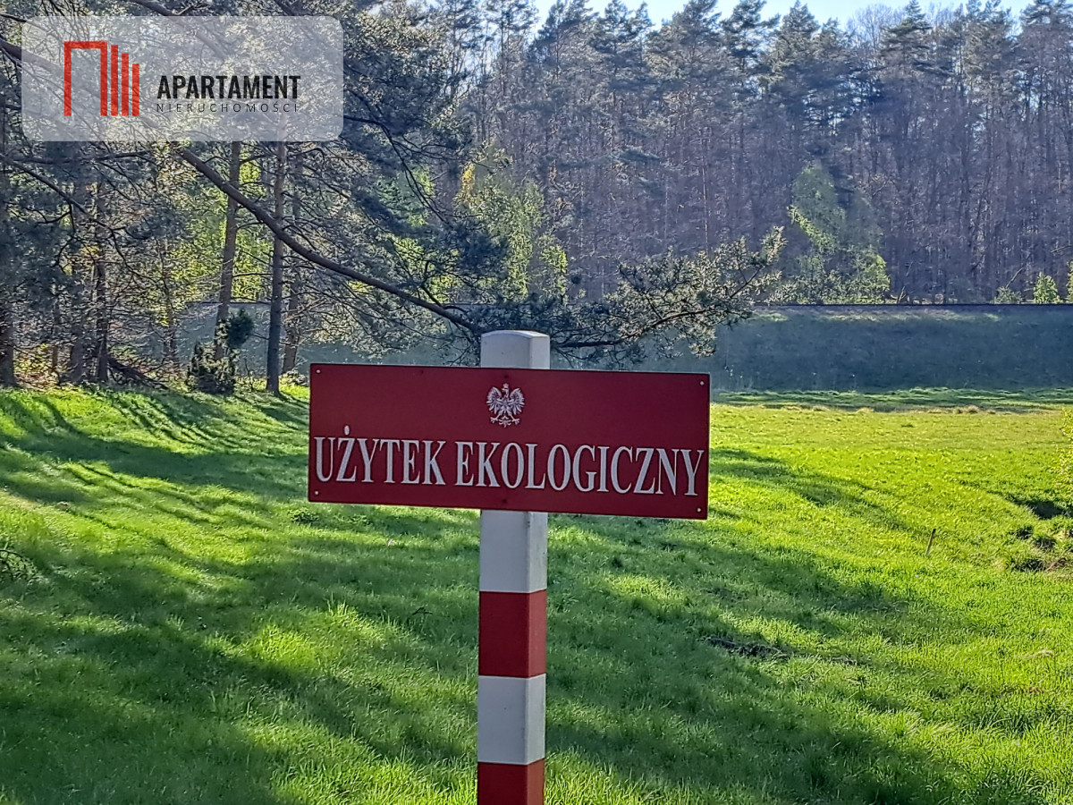 Zdjęcie 5