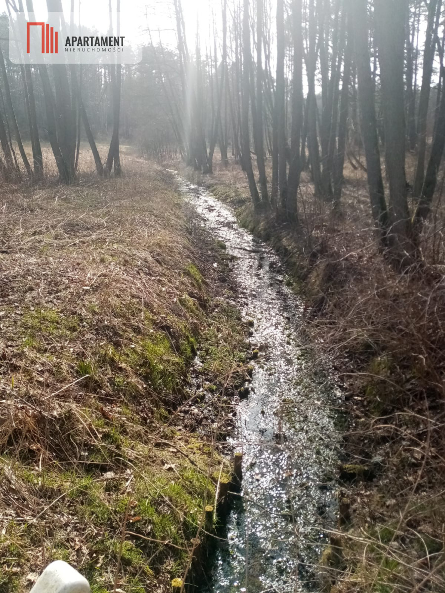 Zdjęcie 9