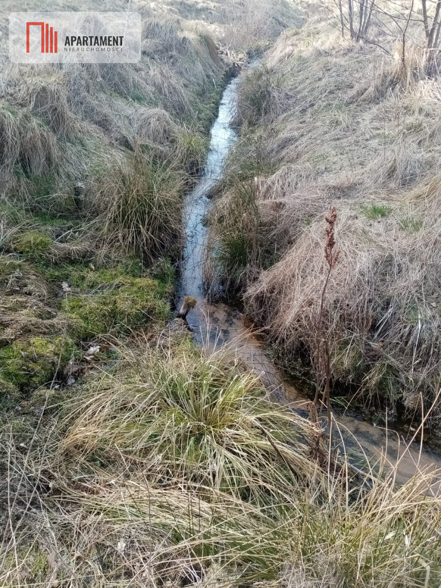 Zdjęcie 10