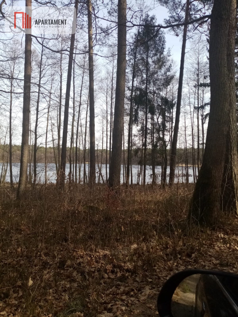 Zdjęcie 12
