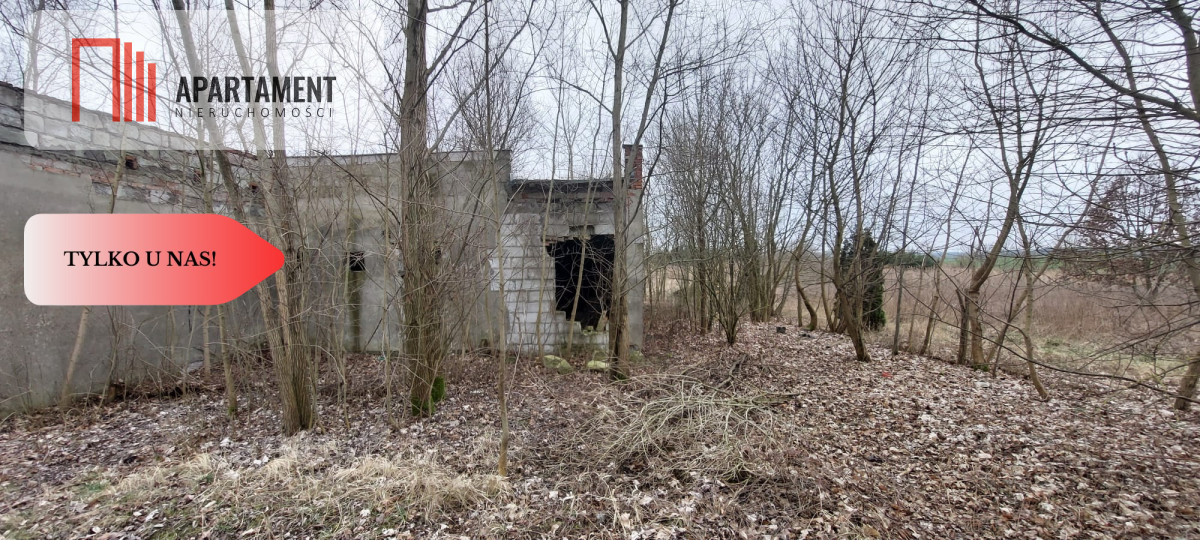 Zdjęcie 8