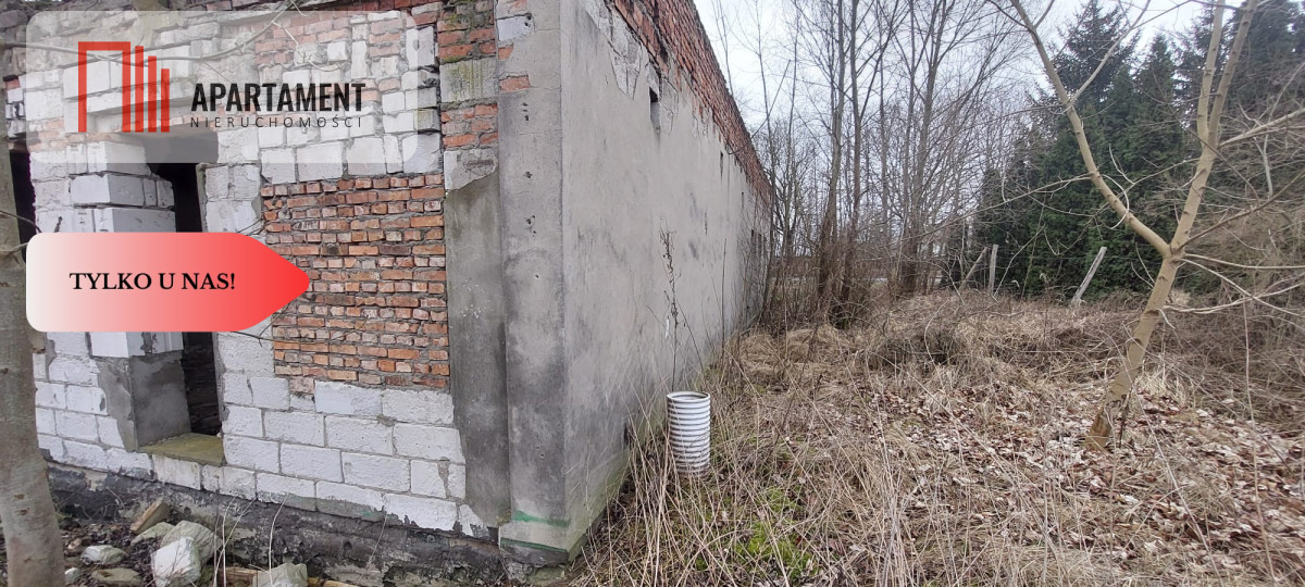 Zdjęcie 10