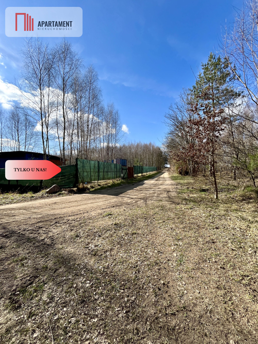 Zdjęcie 12