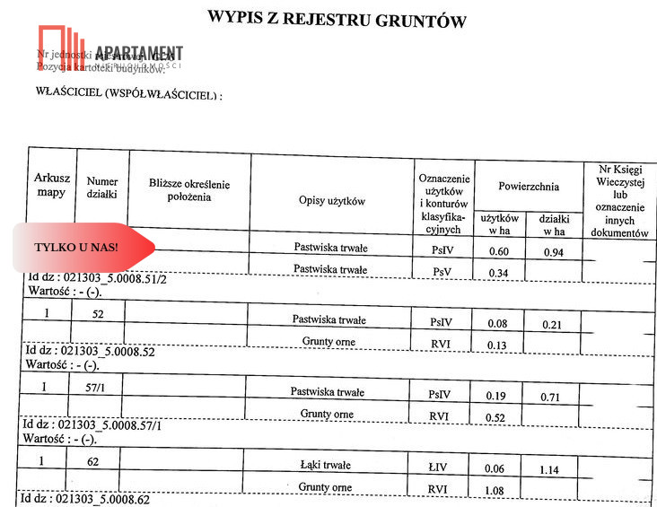 Zdjęcie 13