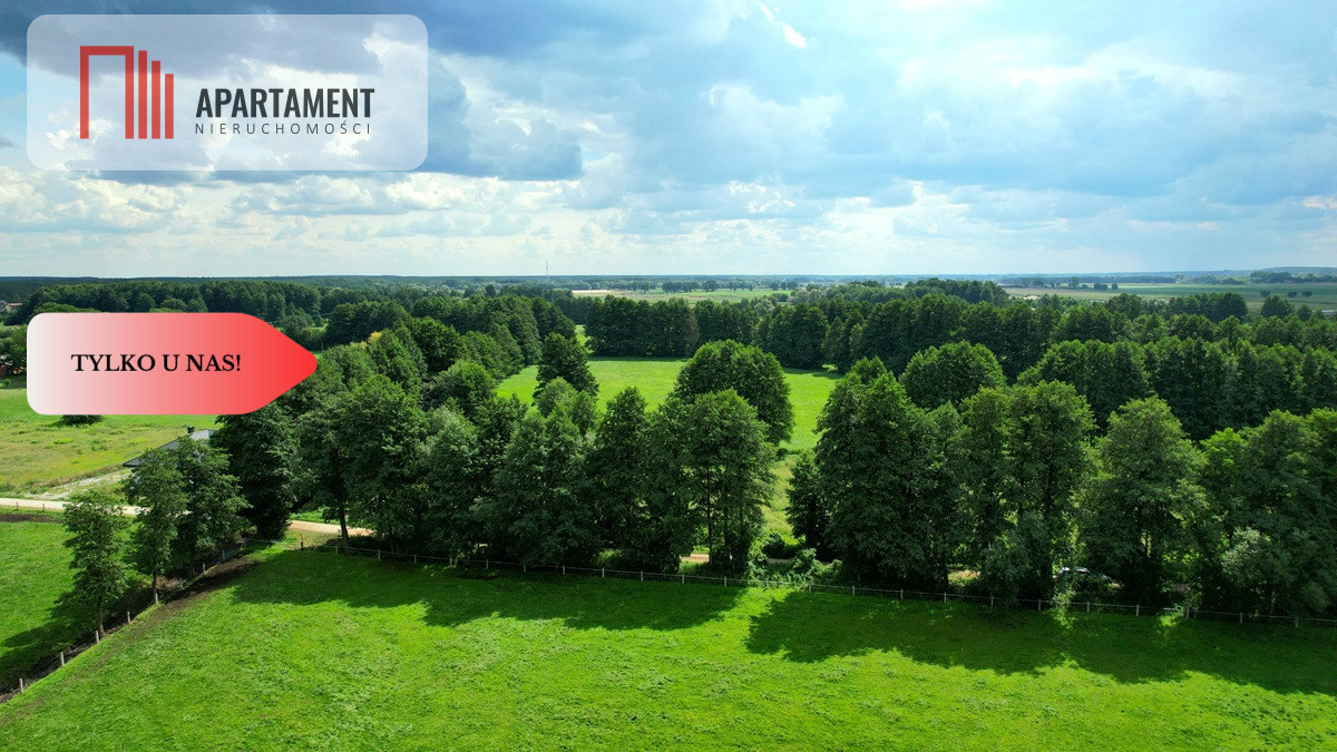 Zdjęcie 7