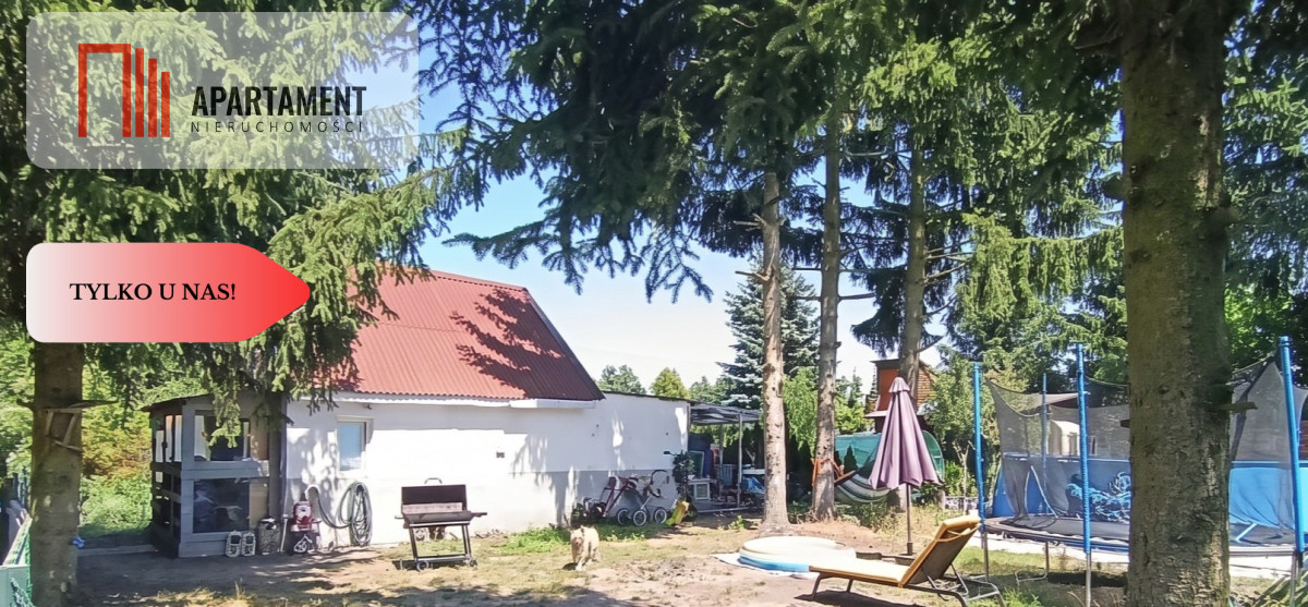 Zdjęcie 10
