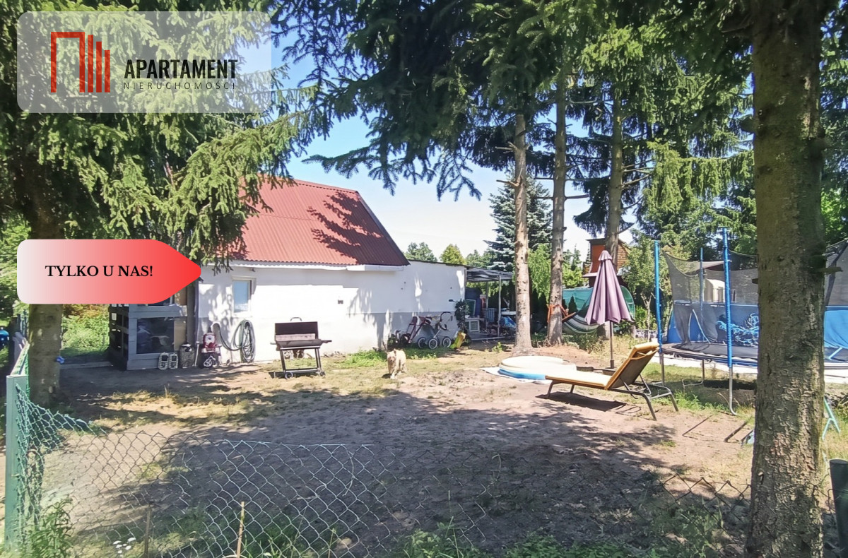 Zdjęcie 12