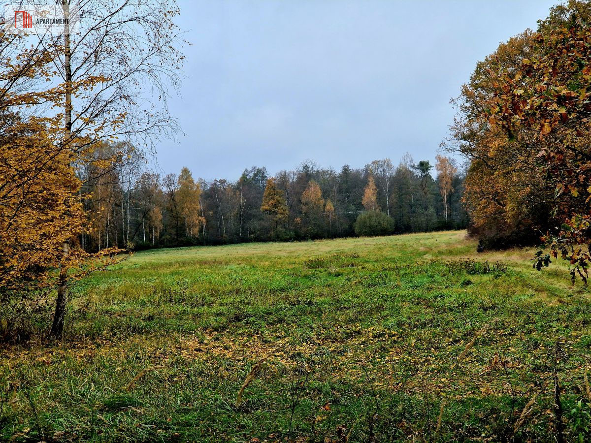 Zdjęcie 3