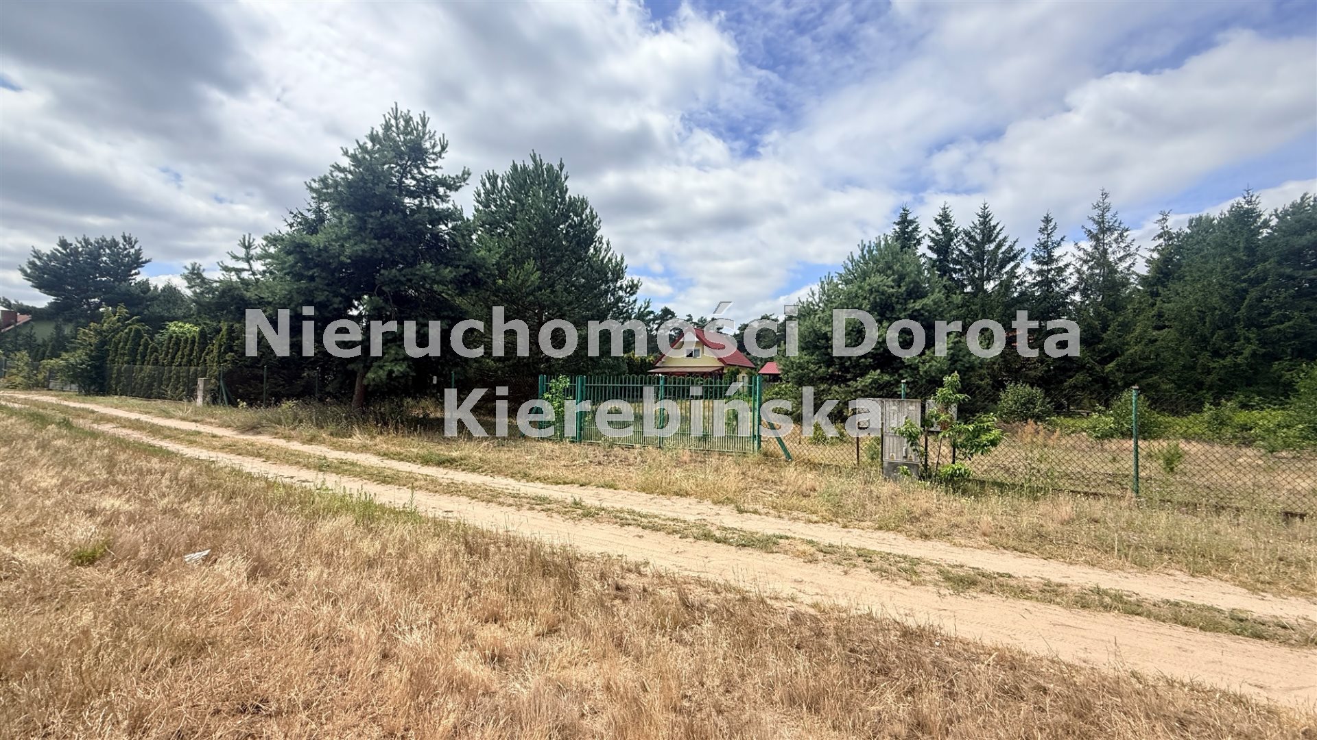 Zdjęcie 12