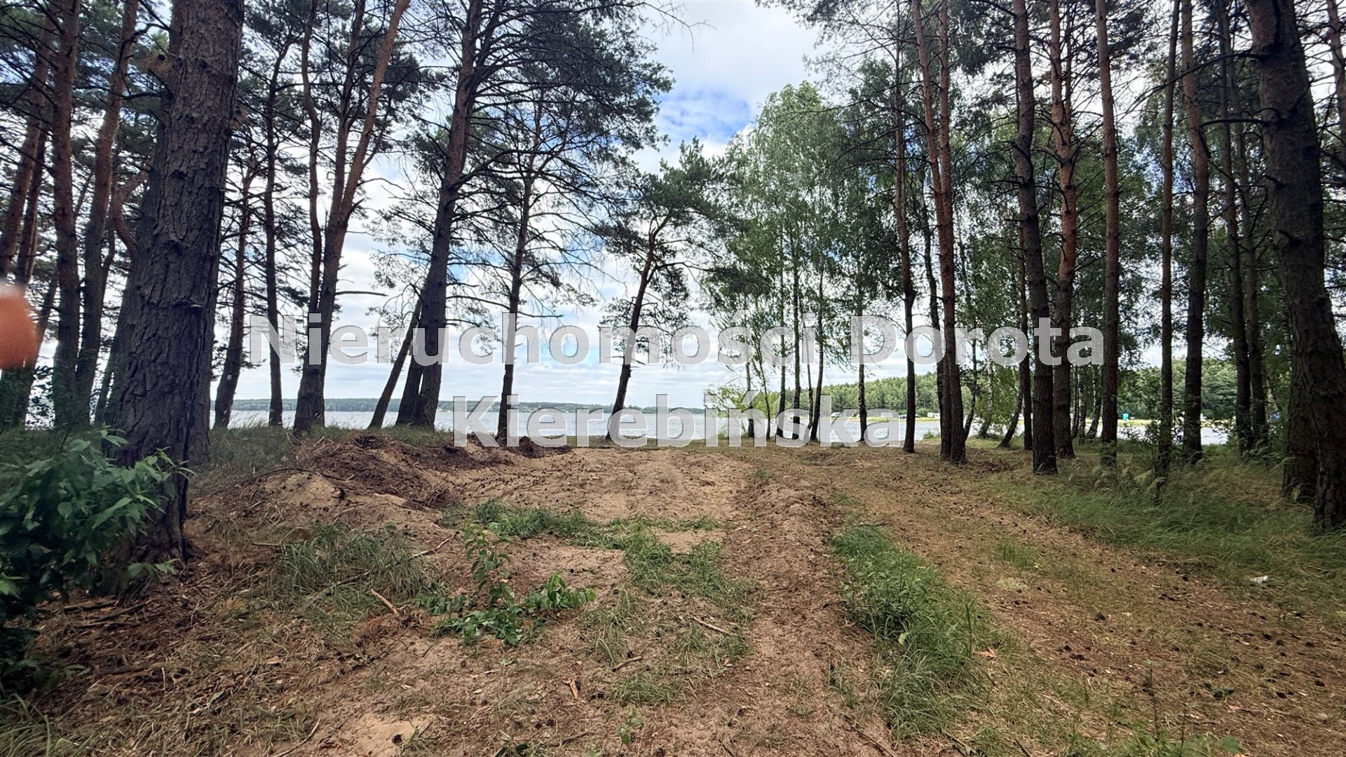 Zdjęcie 14