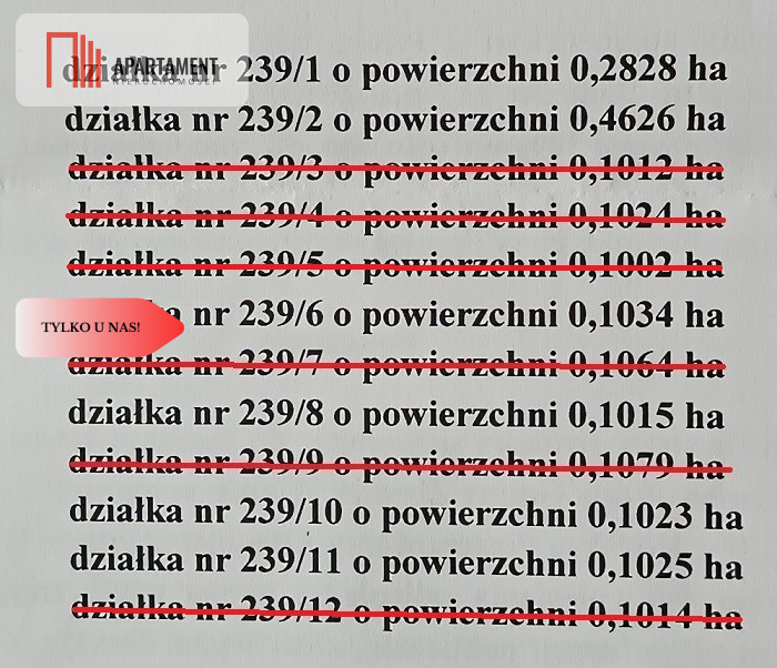 Zdjęcie 14