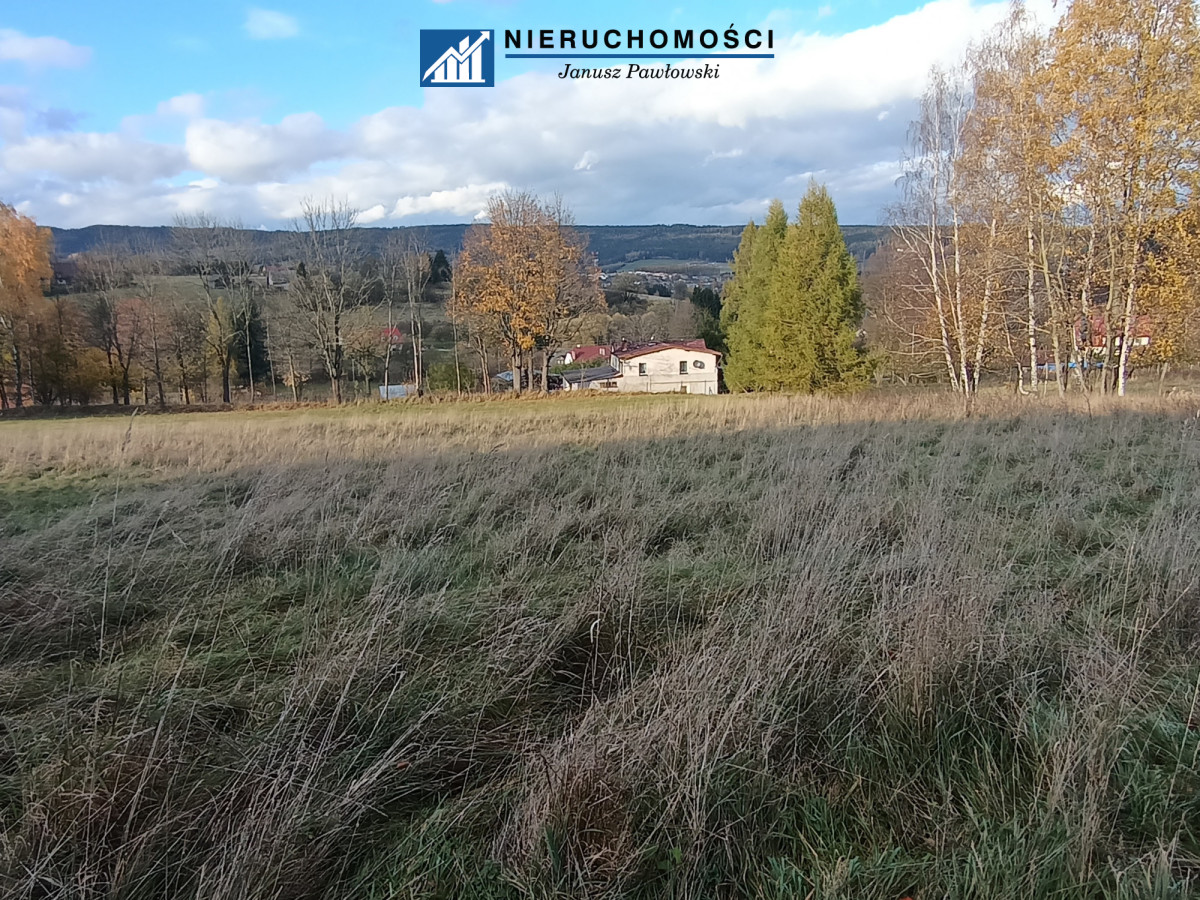 Zdjęcie 14