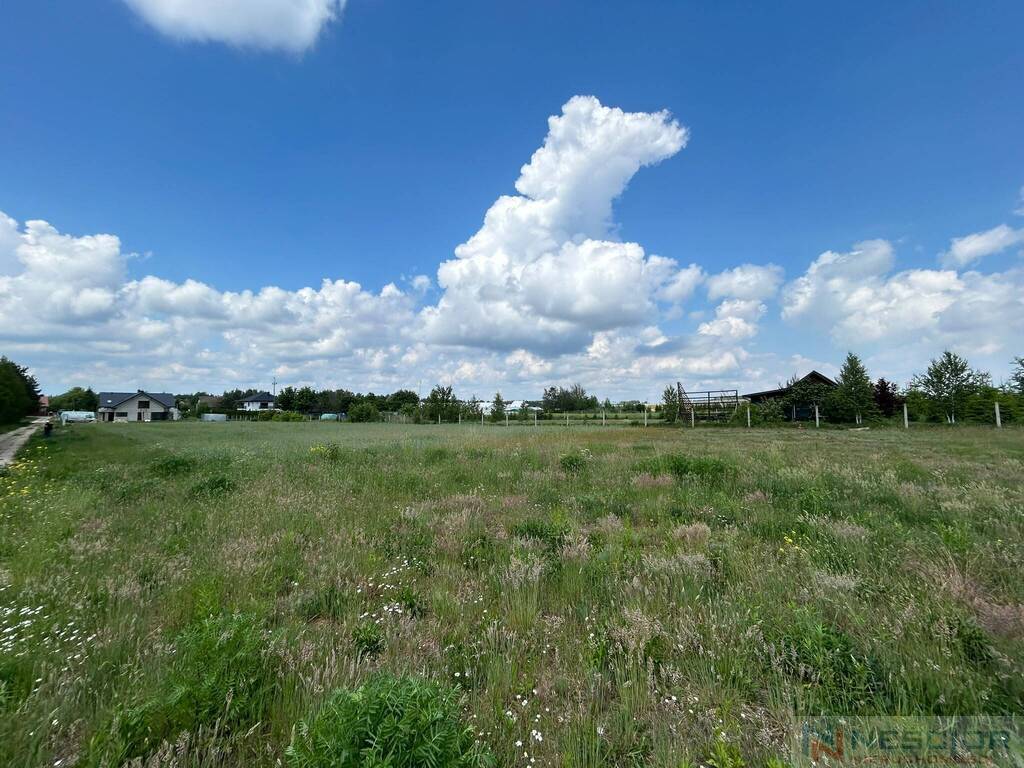 Zdjęcie 3
