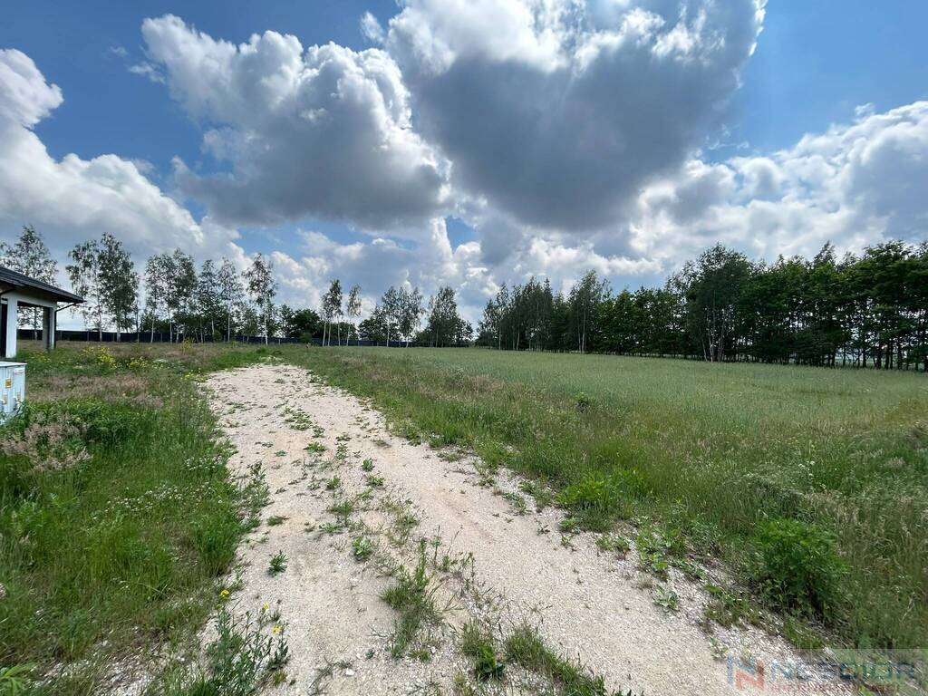 Zdjęcie 5