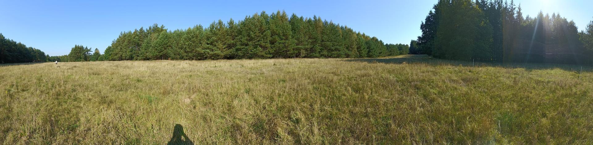Zdjęcie 8