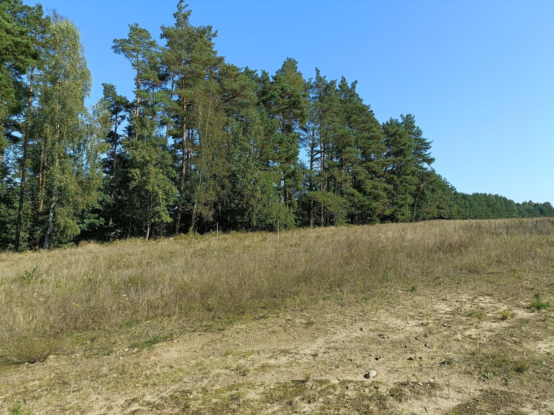 Zdjęcie 11