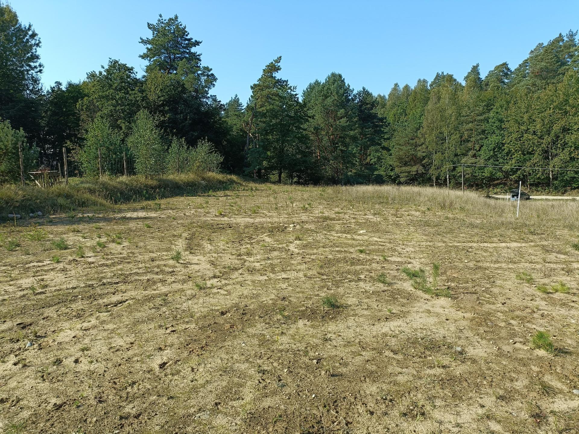 Zdjęcie 13