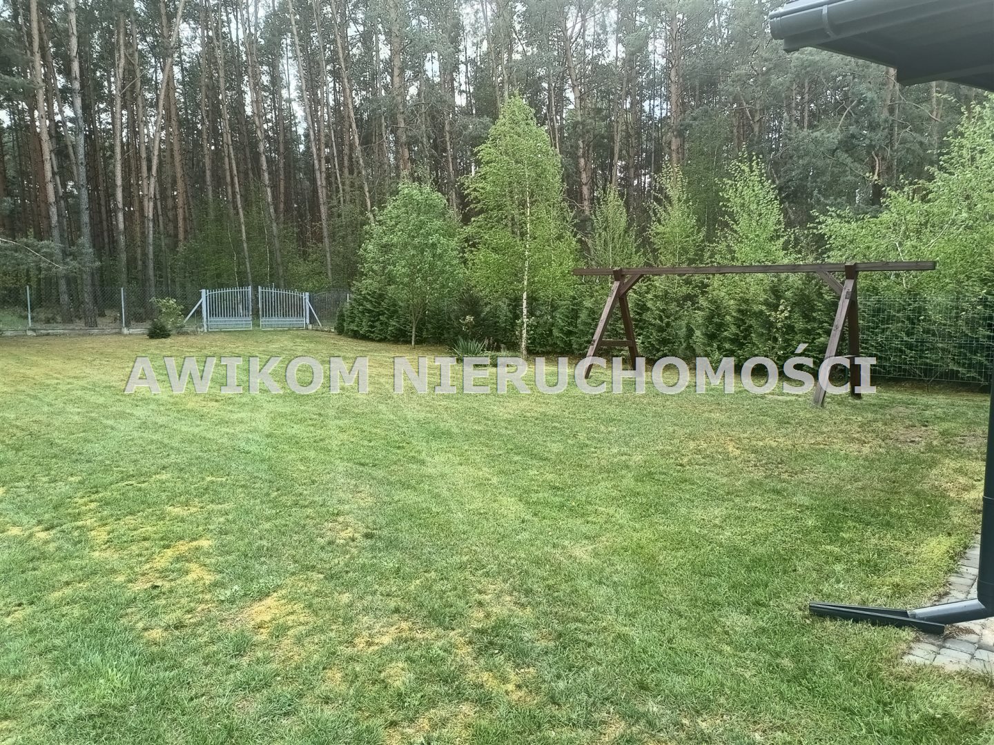 Zdjęcie 4