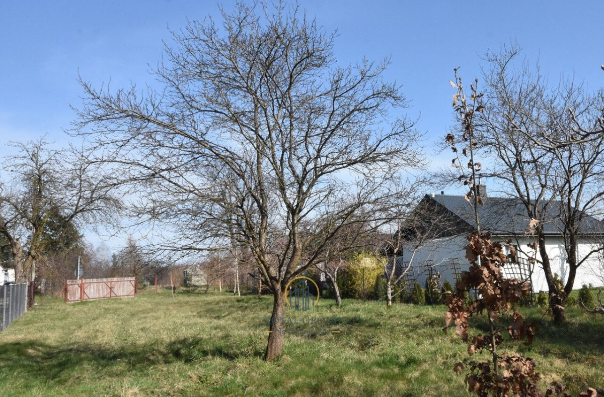 Zdjęcie 5