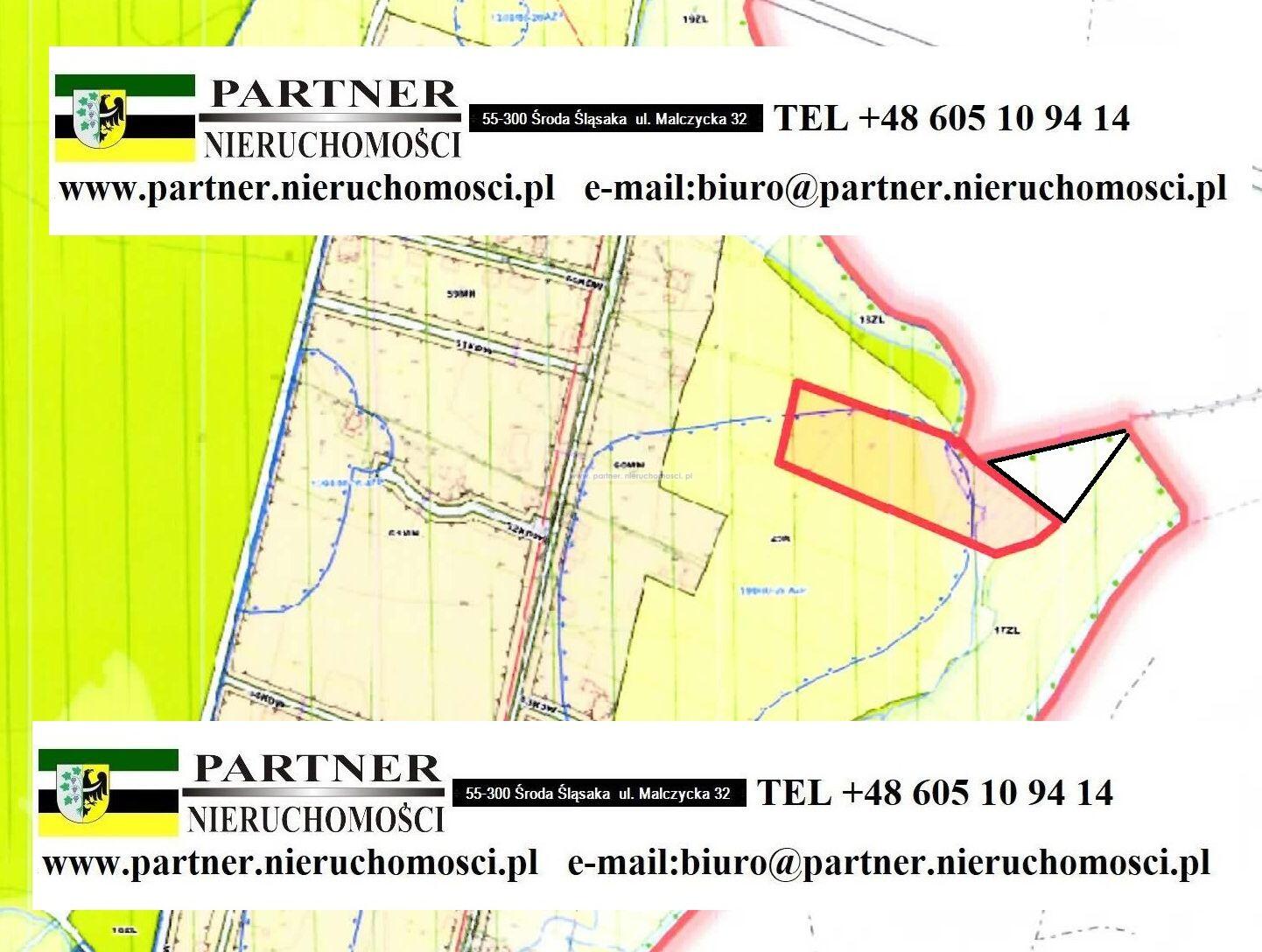 Zdjęcie 12