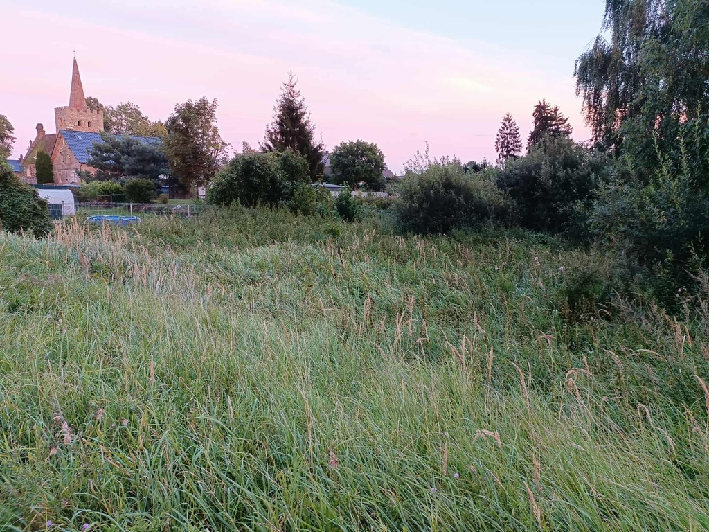 Zdjęcie 3
