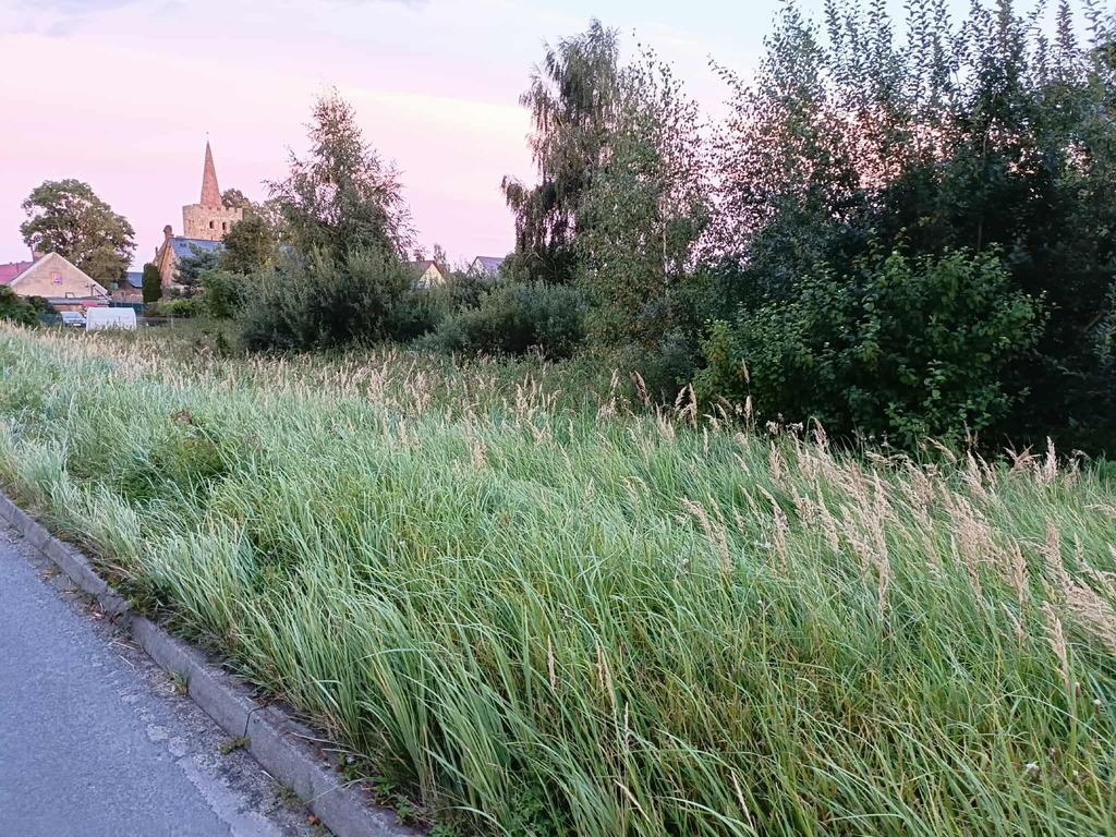 Zdjęcie 4