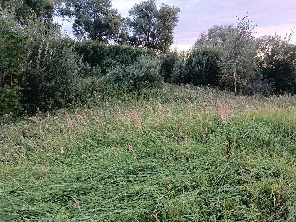 Zdjęcie 5