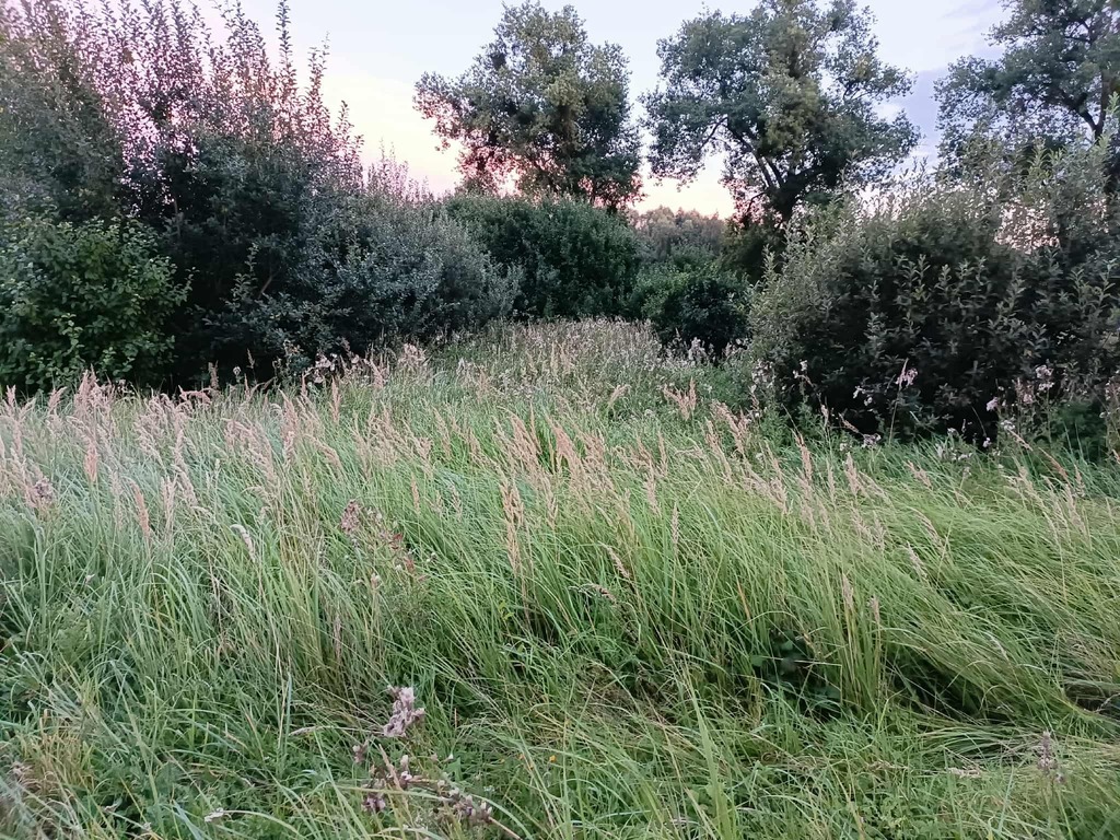 Zdjęcie 6