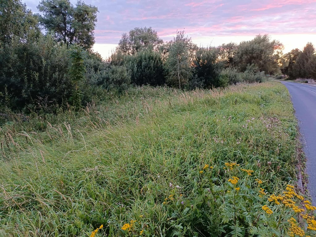 Zdjęcie 7