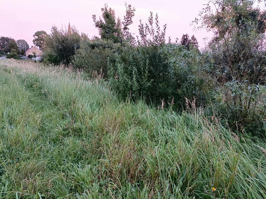 Zdjęcie 9