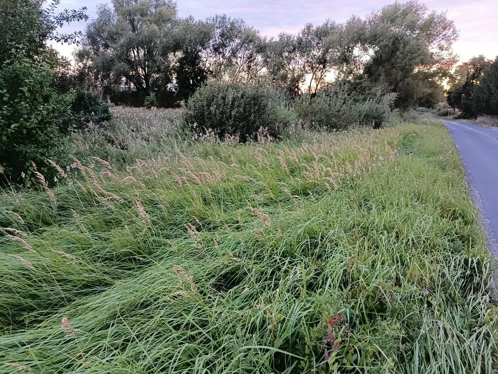 Zdjęcie 10