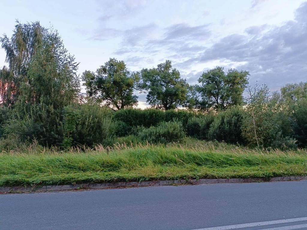 Zdjęcie 11