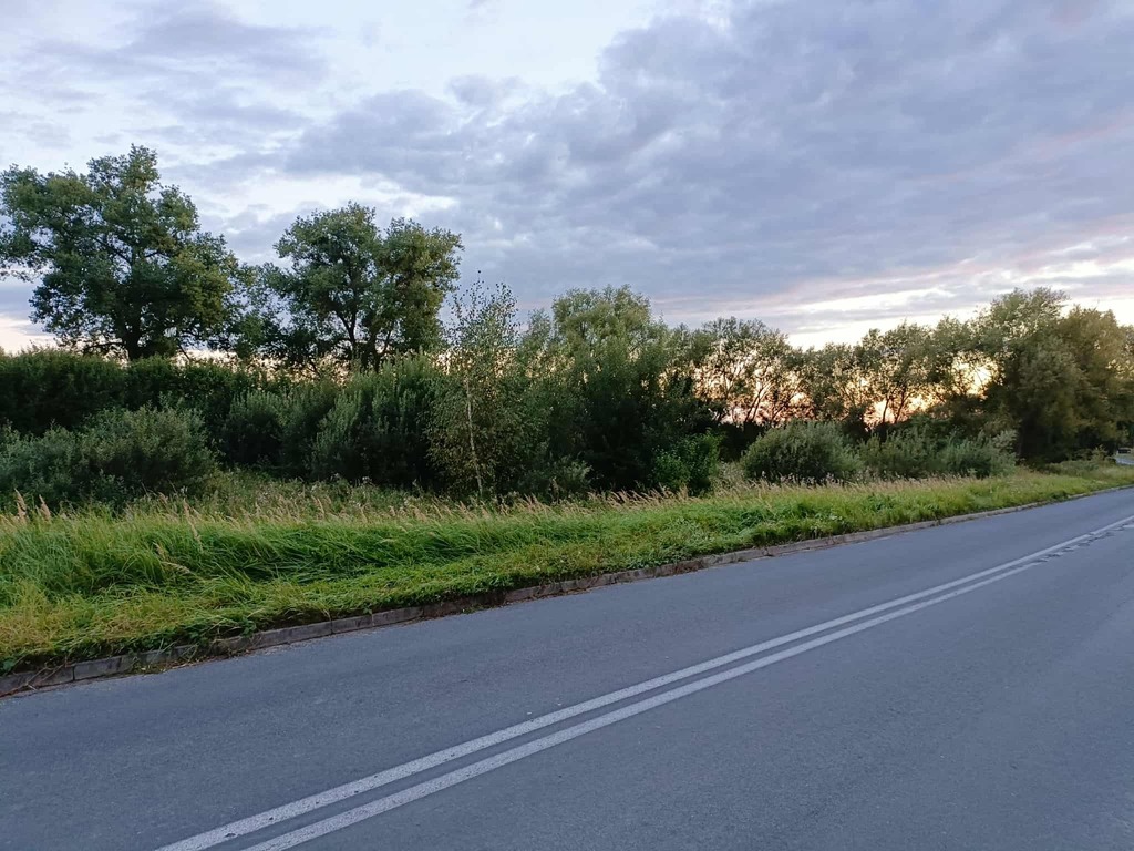 Zdjęcie 12