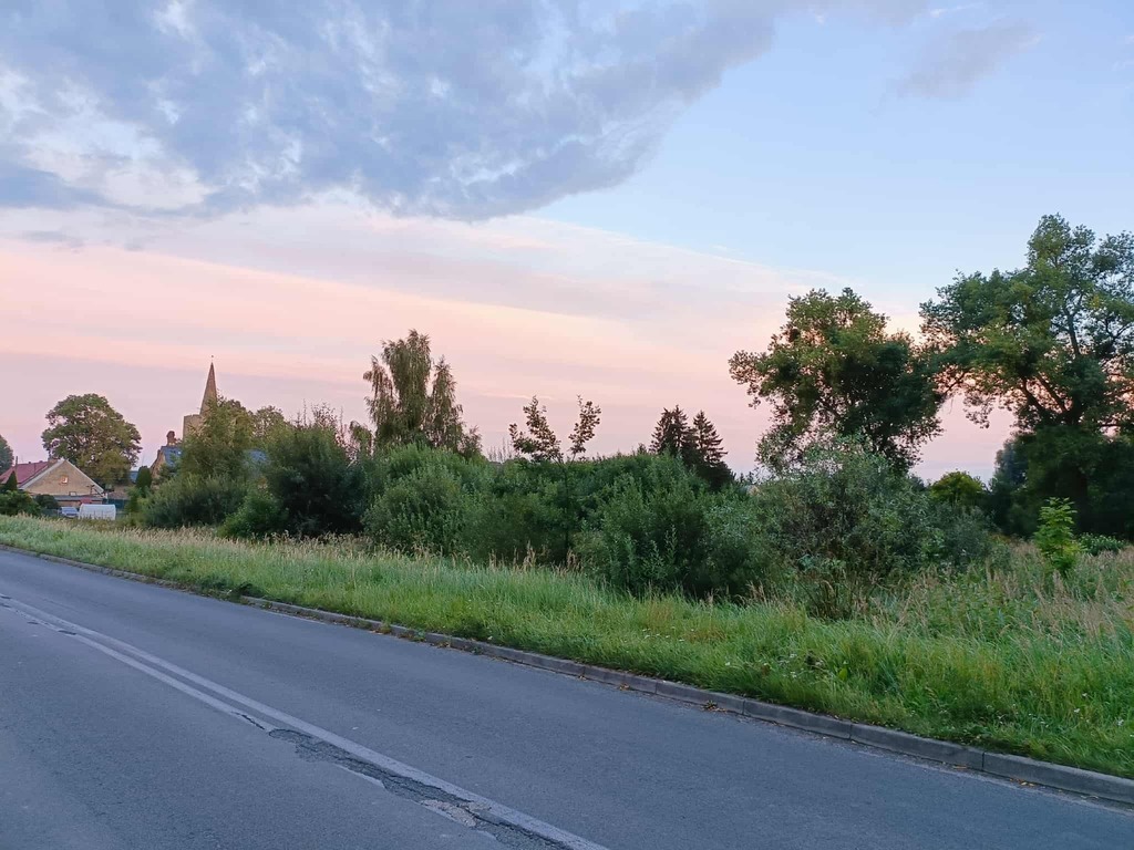 Zdjęcie 13