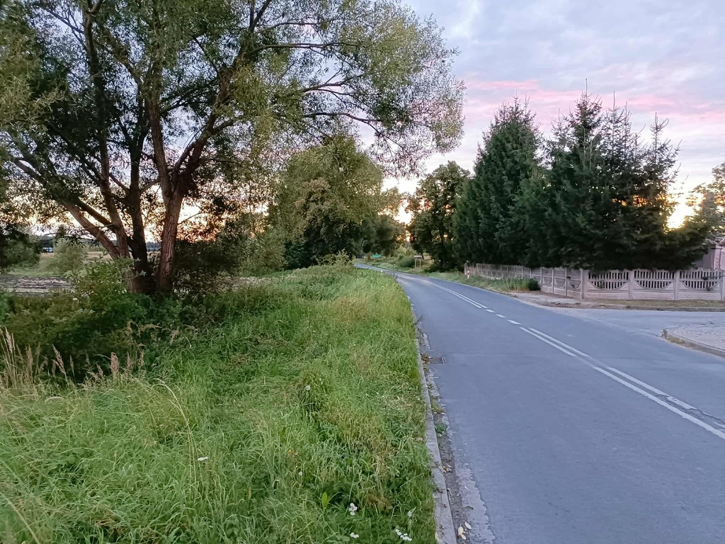 Zdjęcie 14