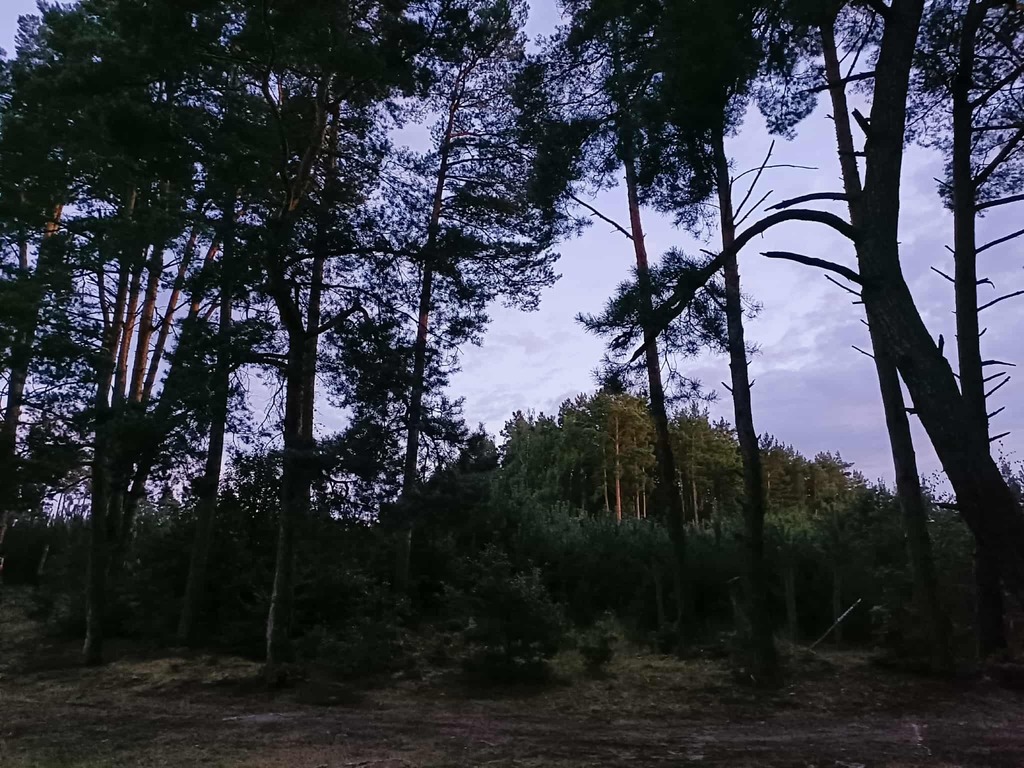 Zdjęcie 19
